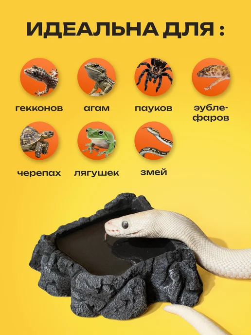 PETPOWER Поилка камень в террариум для рептилий и змеи, черный, фото 3