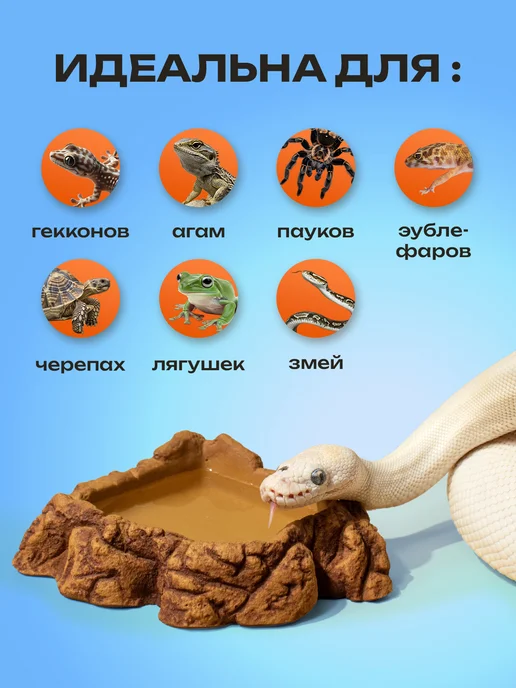 PETPOWER Поилка кормушка для рептилий, геккона и эублефара, коричневый, фото 3