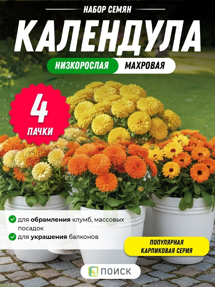 Календула семена махровая низкорослая - 4 шт