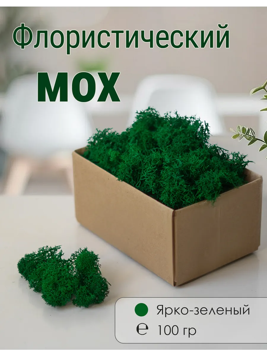 Мох стабилизированный мелкий 100 г
