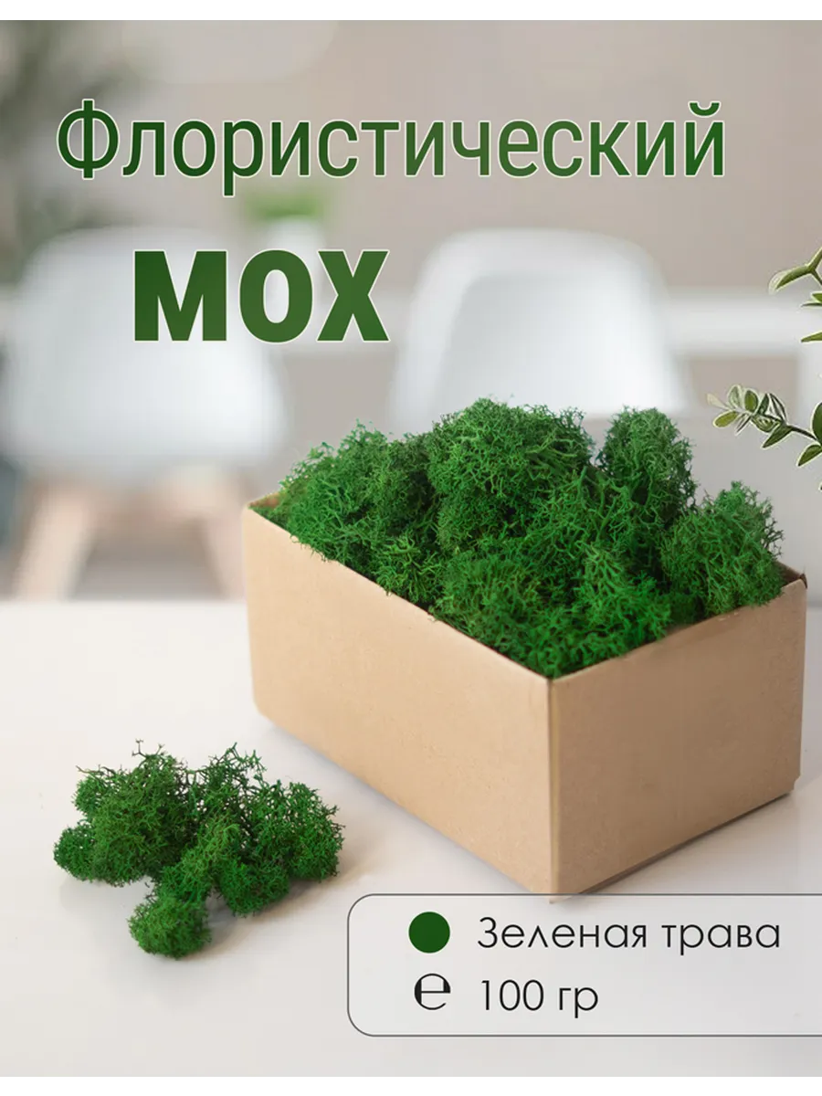 Мох стабилизированный мелкий 100 г