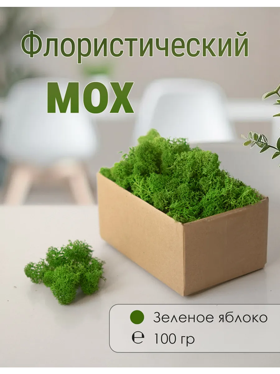Мох стабилизированный мелкий 100 г