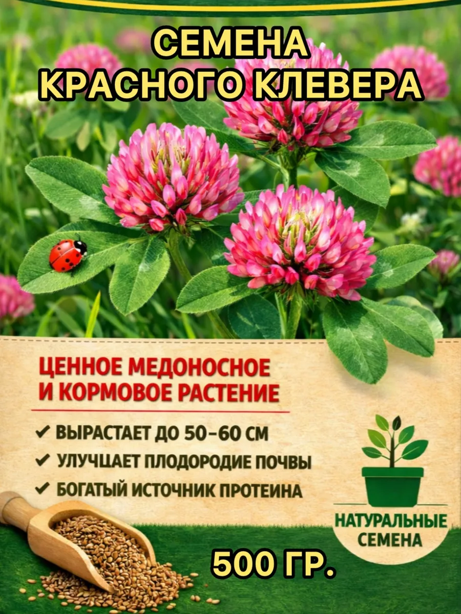 Семена Красного клевера чистые 500гр.