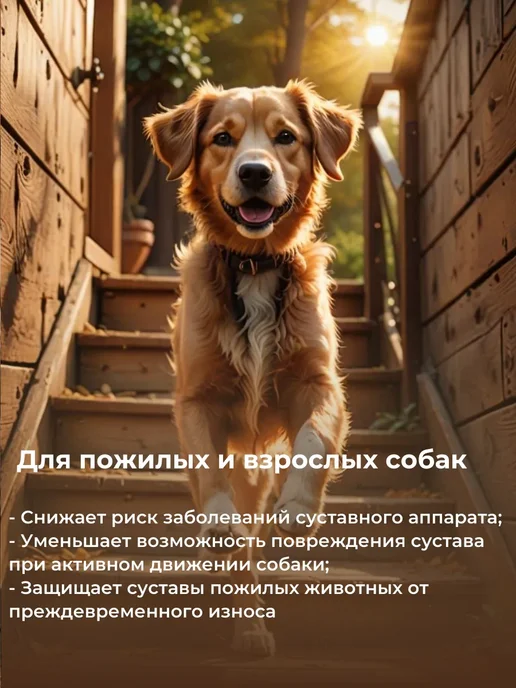 Таблетки Чудо Китая Витамины для взрослой овчарки, вариант, фото 3