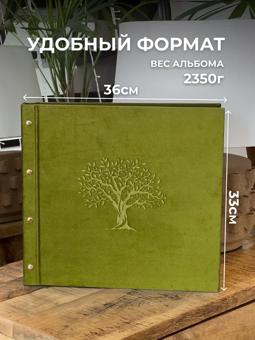 MAlbums Фотоальбом большой семейный с деревом, зеленый, фото 2