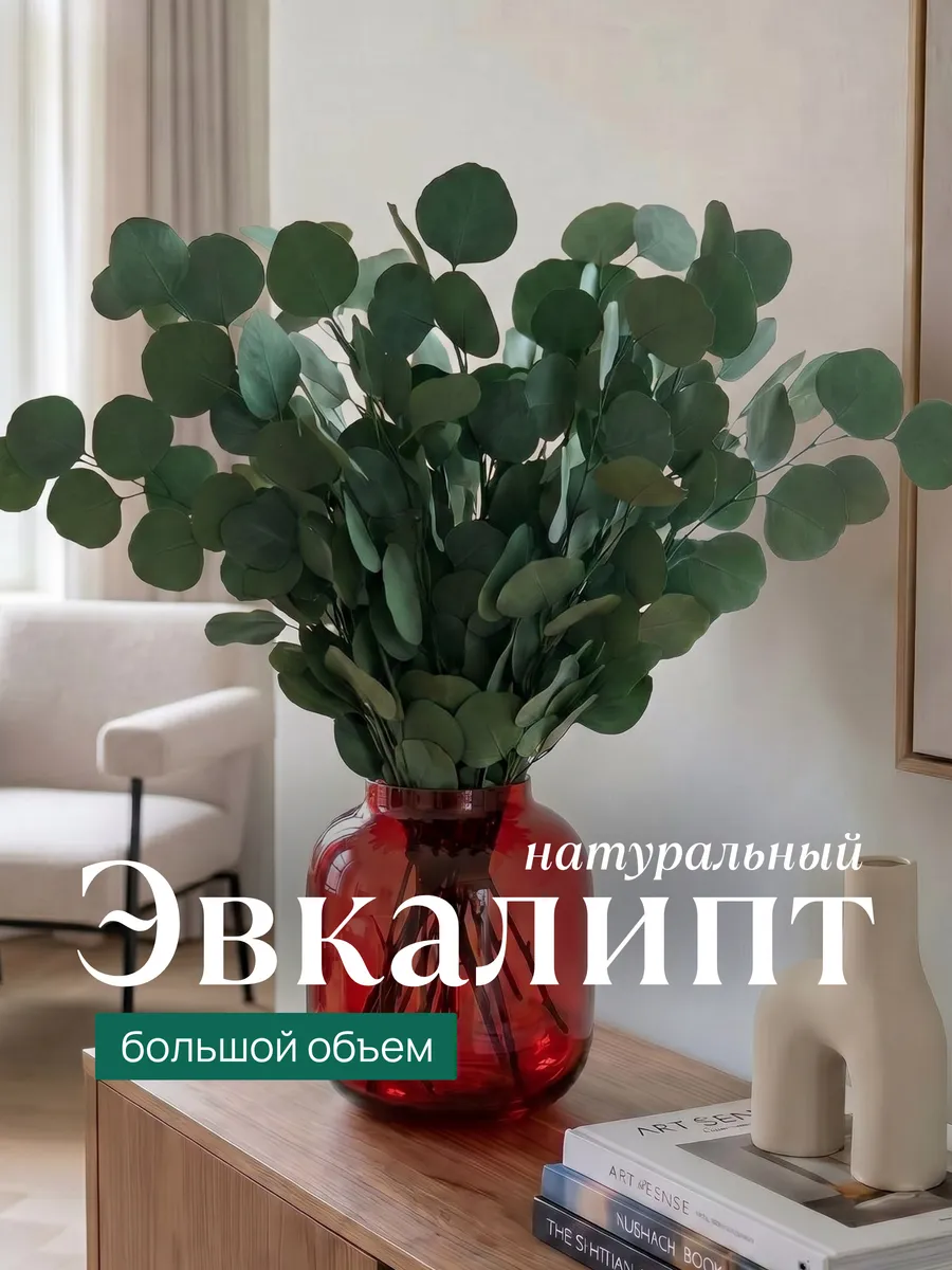 Эвкалипт стабилизированный натуральный сухоцветы для декора