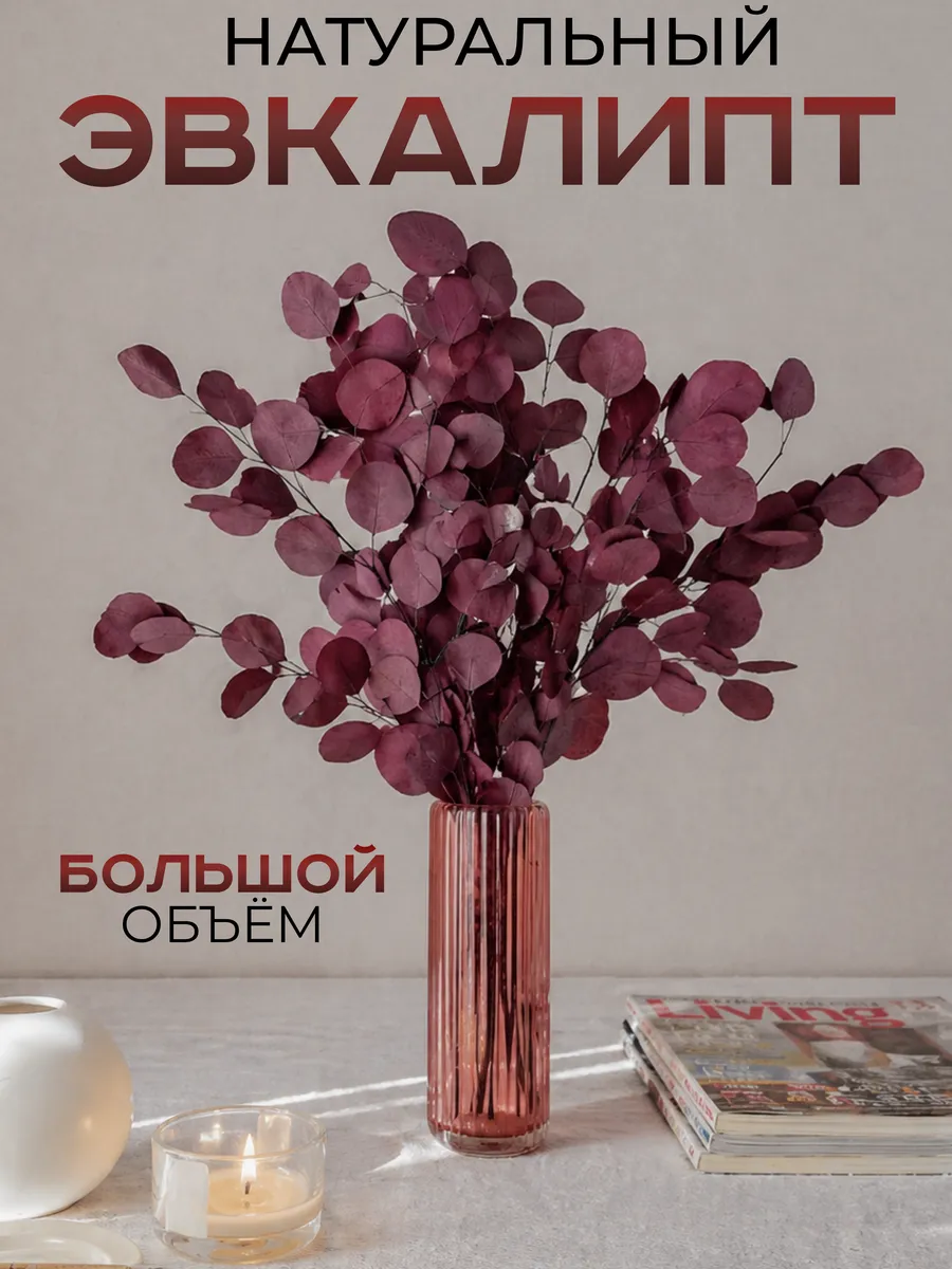 Эвкалипт стабилизированный сухоцветы для декора