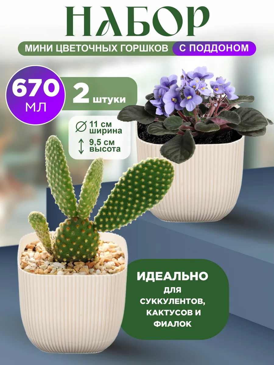 Набор горшков для кактусов и суккулентов 0,67л 2 шт