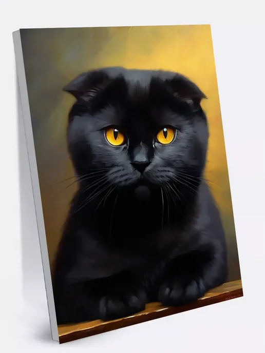 000 Art Hobby Home Картина по номерам Черный котенок 40х50 см, 40x50 см