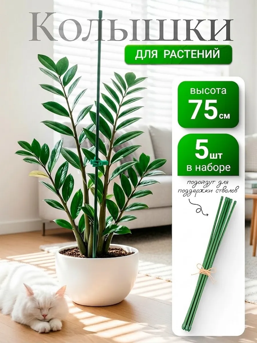 Опоры для растений и цветов комнатных 75 см 5 шт