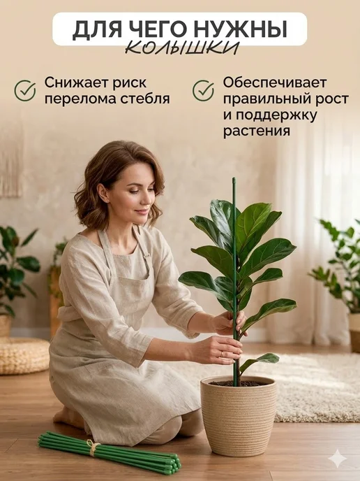 VOSADULI Опора для цветов комнатных 75см, 5 шт, фото 4