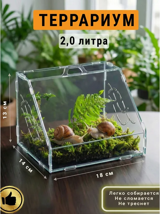 TREND MOLD Террариум для Улиток 2л наклонный, 2 л