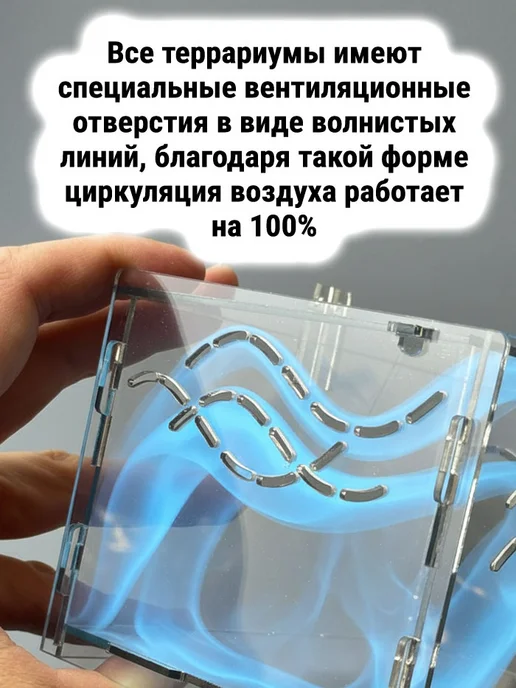 TREND MOLD Террариум для Улиток 2л наклонный, 2 л, фото 7