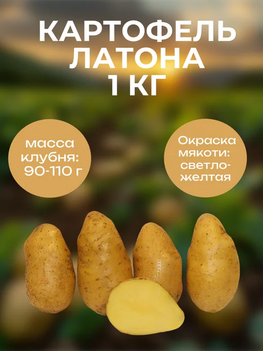 ОгородNIK Картофель Латона, 1 кг, 1 кг