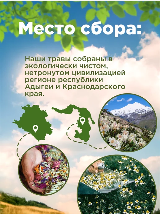 Родные травы Мята листья измельченные 100 гр, 100 г, фото 2