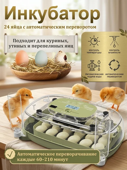 Инкубатор для яиц автоматический с терморегулятором, зеленый