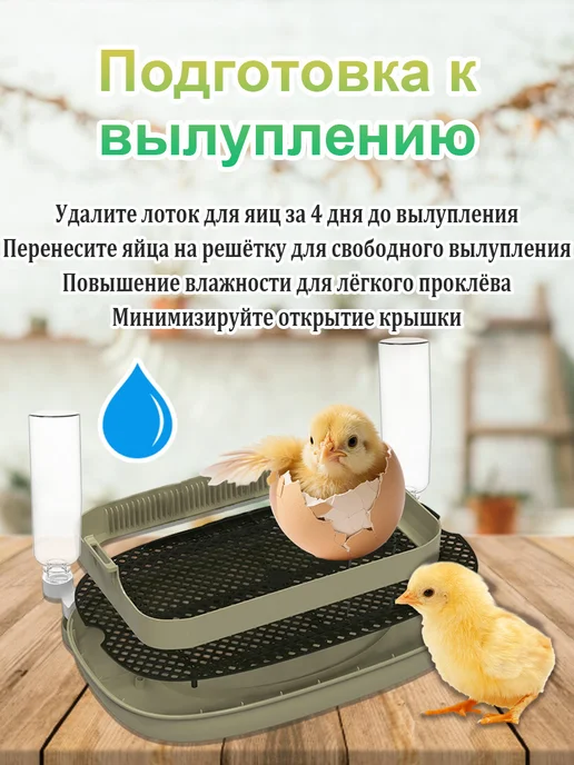 Инкубатор для яиц автоматический с терморегулятором, зеленый, фото 2