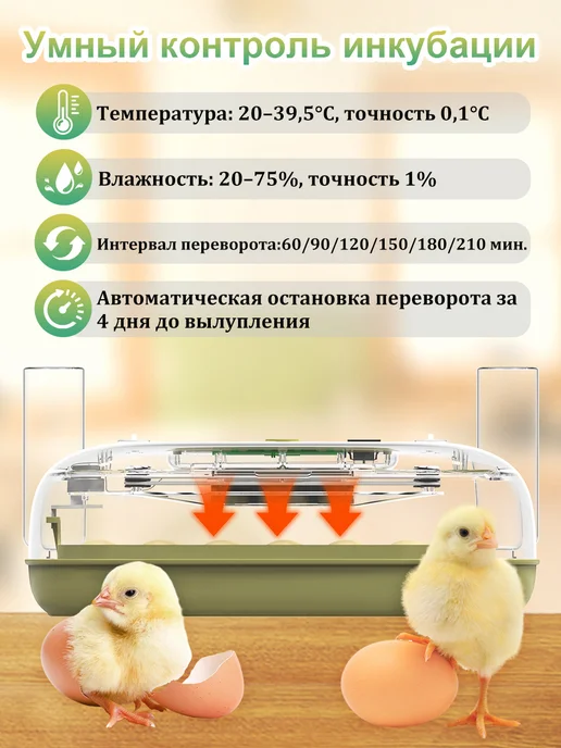 Инкубатор для яиц автоматический с терморегулятором, зеленый, фото 5