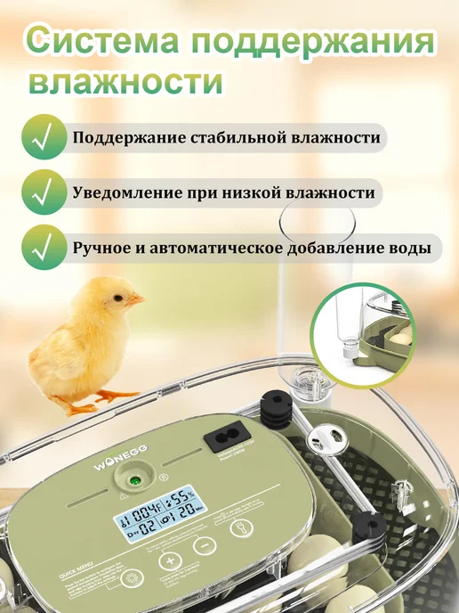 Инкубатор для яиц автоматический с терморегулятором, зеленый, фото 6