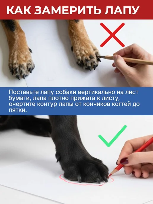 ForMyDogs Ботинки для собак крупных пород непромокаемые TDSH0069, черный, фото 8