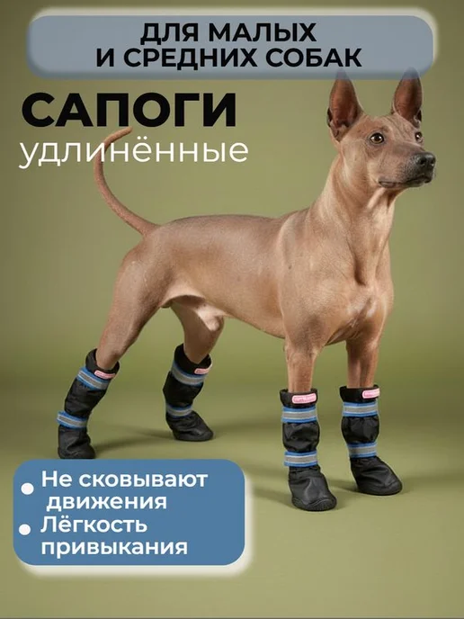ForMyDogs Ботинки для собак непромокаемые для мелких и средних пород, синий