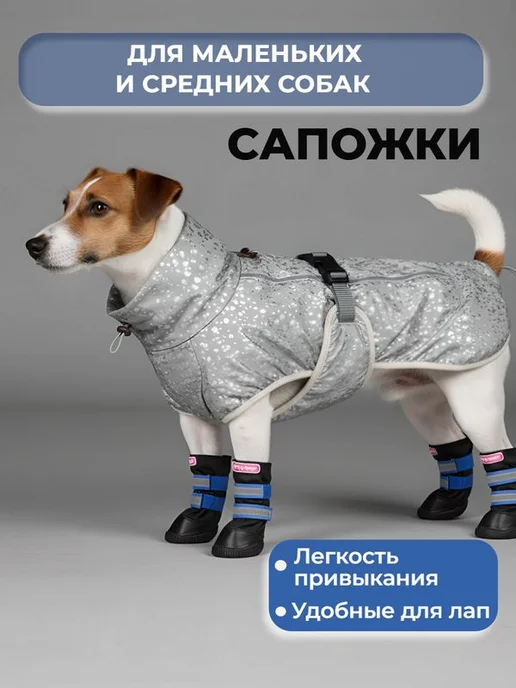 ForMyDogs Ботинки для собак мелких пород TDSH0070, синий