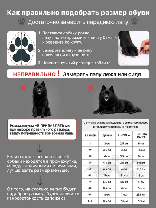 ForMyDogs Ботинки для собак мелких пород TDSH0070, синий, фото 8
