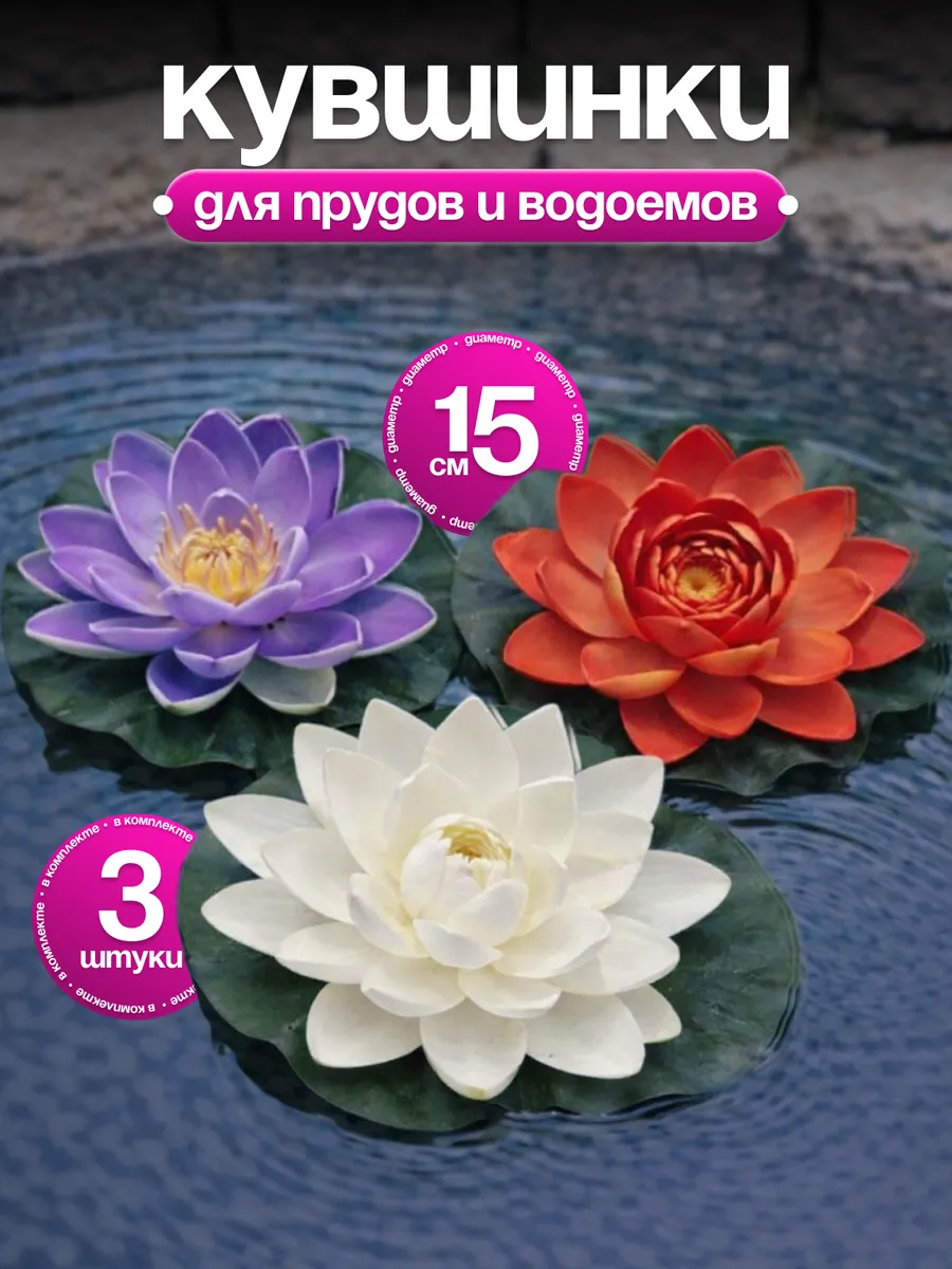 Кувшинка садовая декоративная в пруд для водоема набор