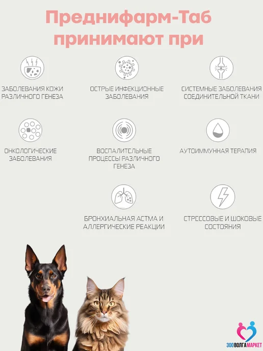 Nita-Farm Преднифарм Таб 4 мг для кошек и собак, 20таб, 4 20таб, фото 2