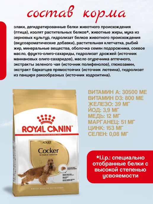 Сухой корм Royal canin Cухой Коккер-Спаниель для собак, 3 кг, фото 2