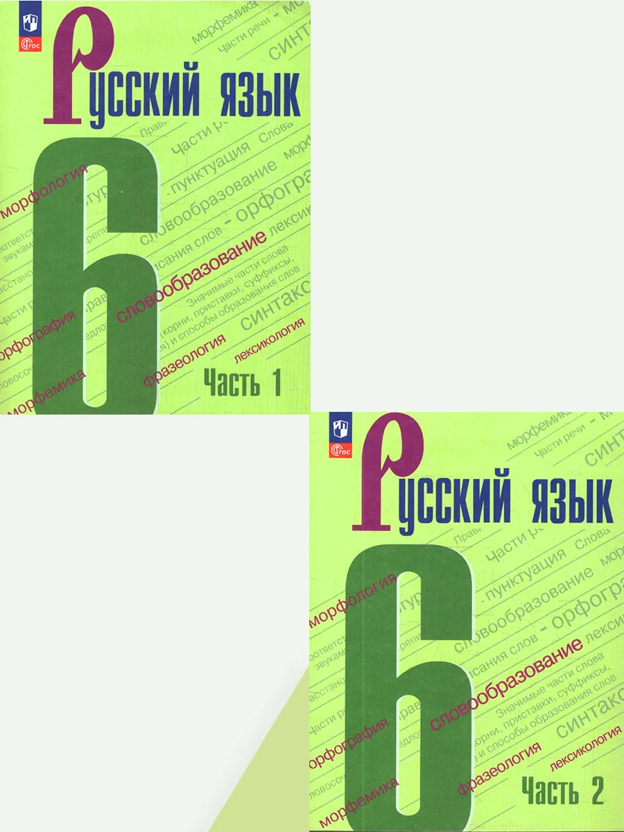 Русский язык 6 класс Учебник в 2 частях