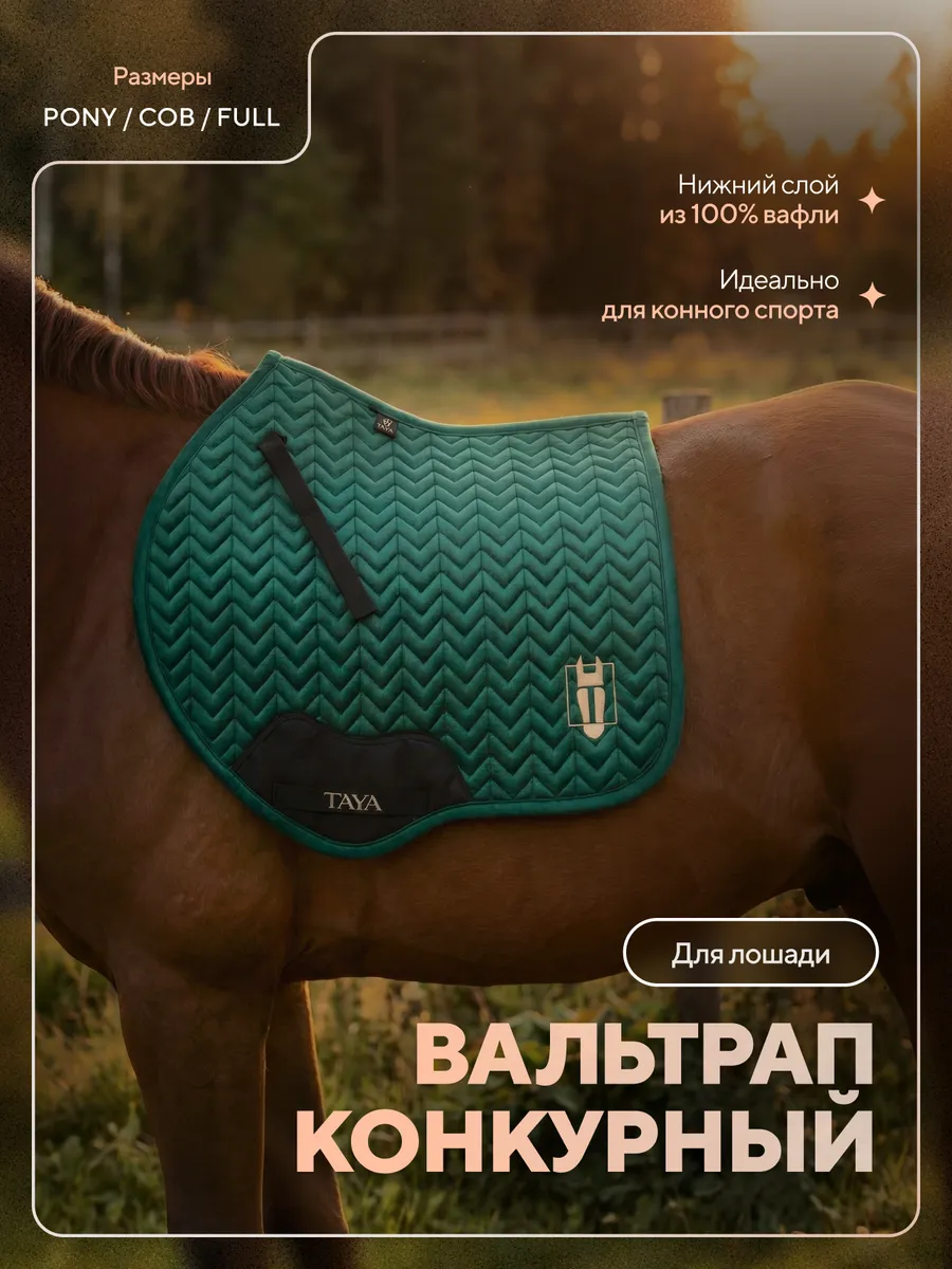 Вальтрап для лошади конкурный вельветовый