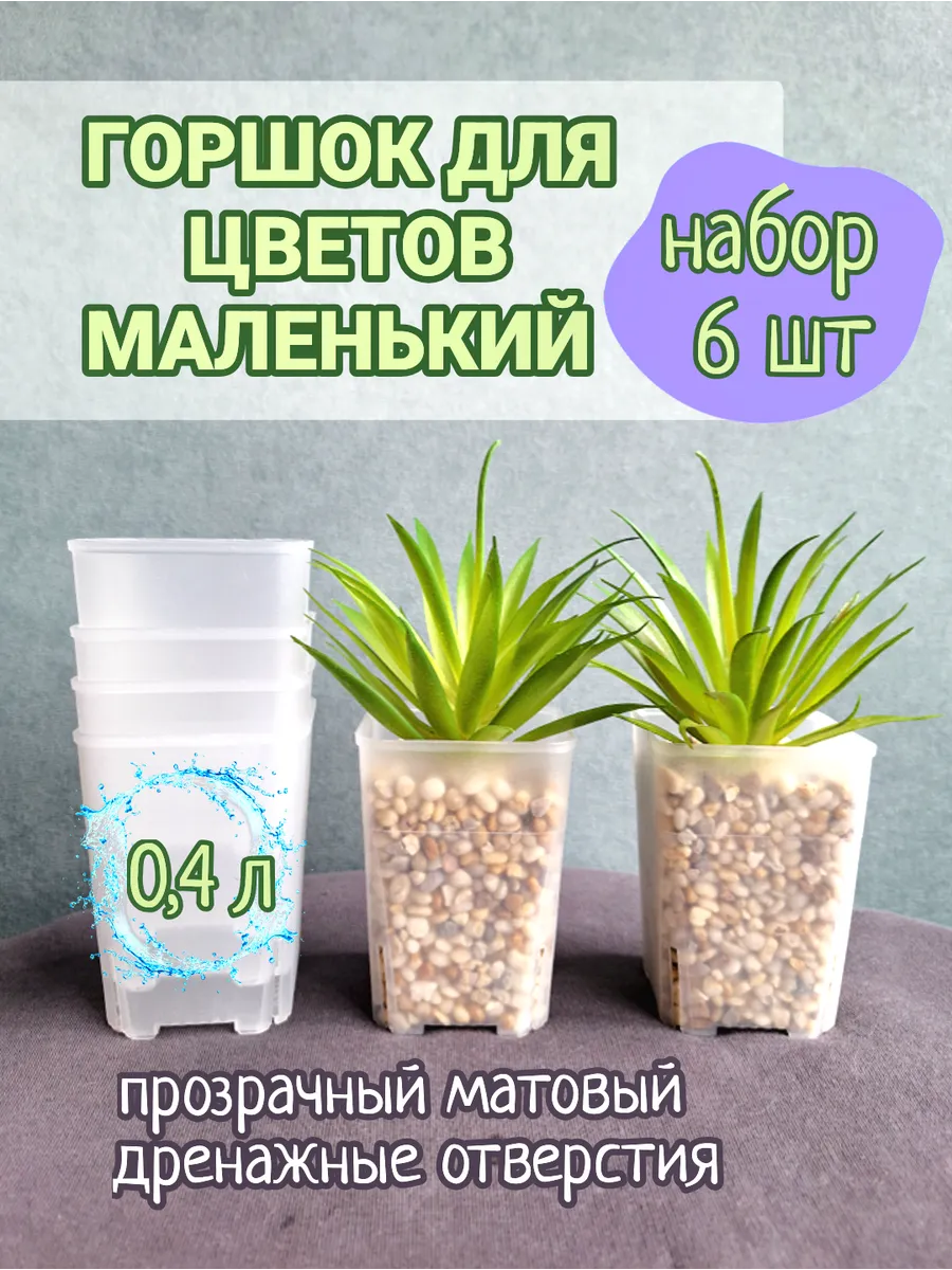 Прозрачные горшки для цветов. Маленький горшок