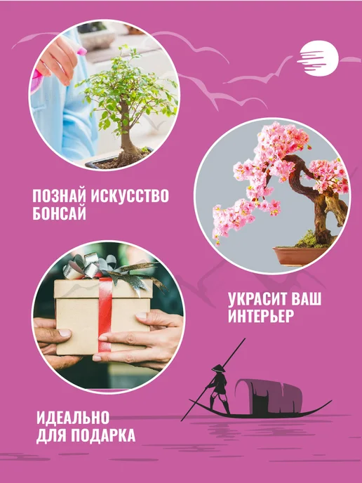 ЭкоКлуб Набор для выращивания бонсай "Сакура Японская", вариант, фото 3