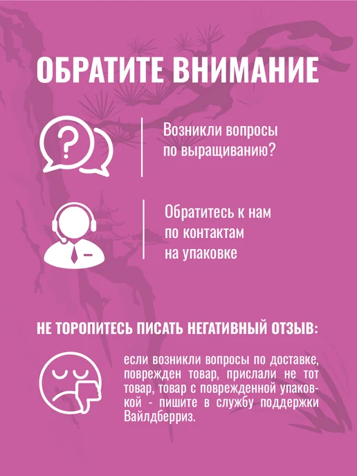 ЭкоКлуб Набор для выращивания бонсай "Сакура Японская", вариант, фото 6