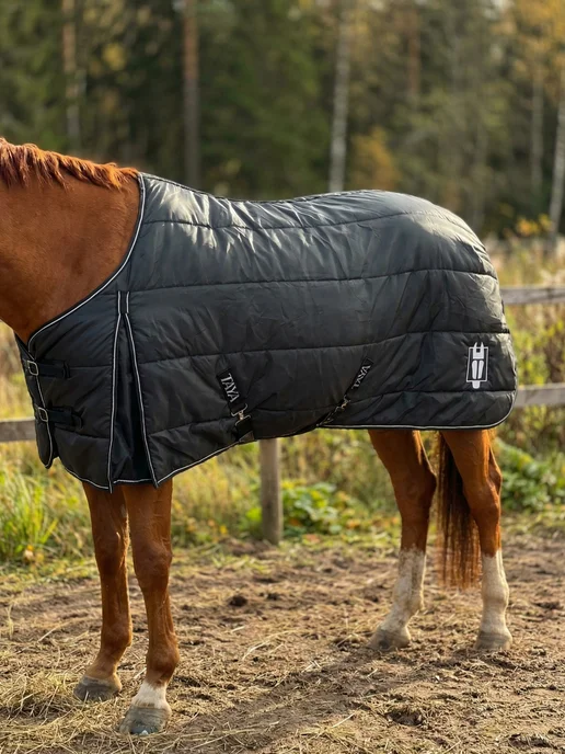 TAYA equestrianism Попона для лошадей денниковая, черный, фото 2