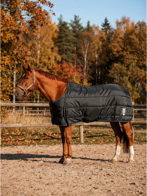 TAYA equestrianism Попона для лошадей денниковая, черный, фото 4