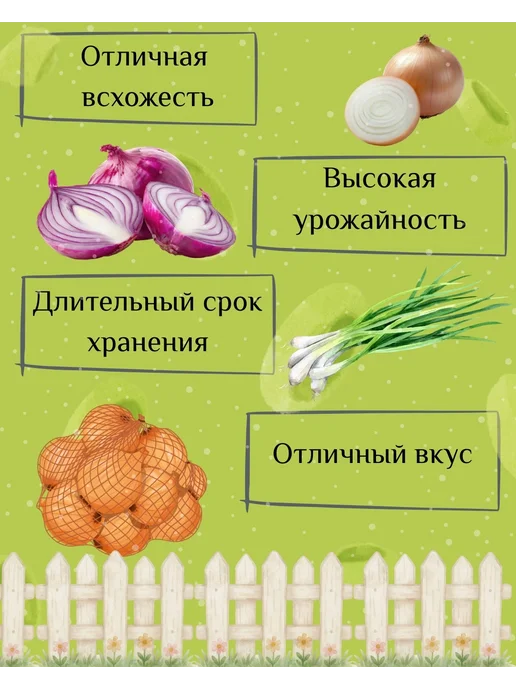Лук севок Богатырь, 1 кг, 1 кг, фото 2