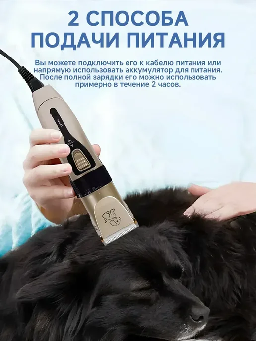 FIRST WEI Мощная машинка для стрижки собак и кошек безопасная, вариант, фото 6
