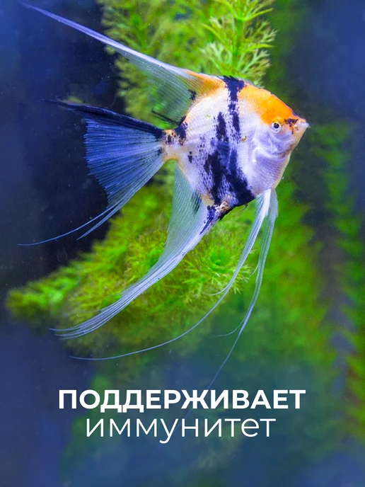 Ami land Корм для рыбок аквариумных хлопья и гранулы 100 г набор, 100 г, фото 7