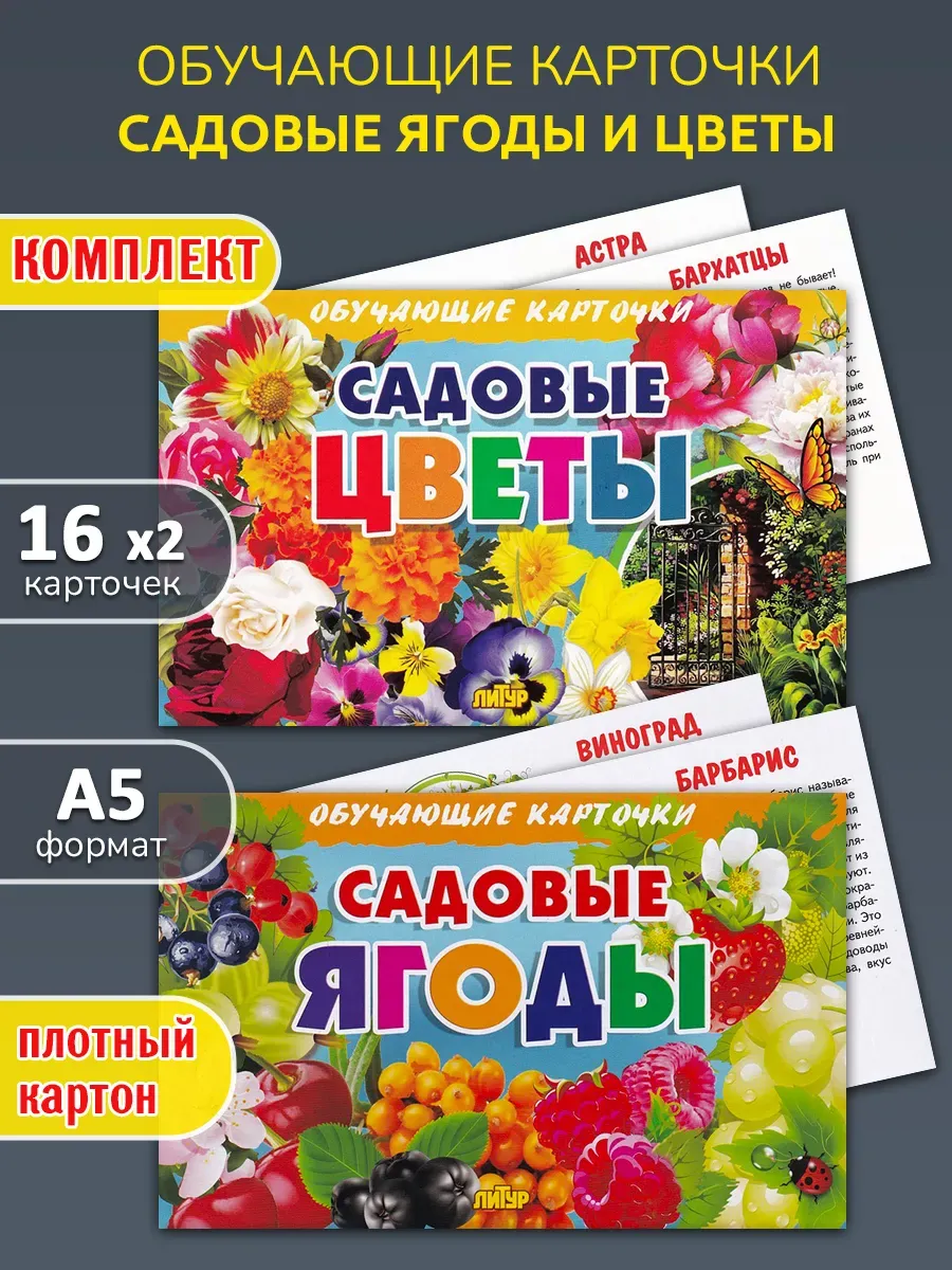 Обучающие карточки: Садовые цветы и ягоды