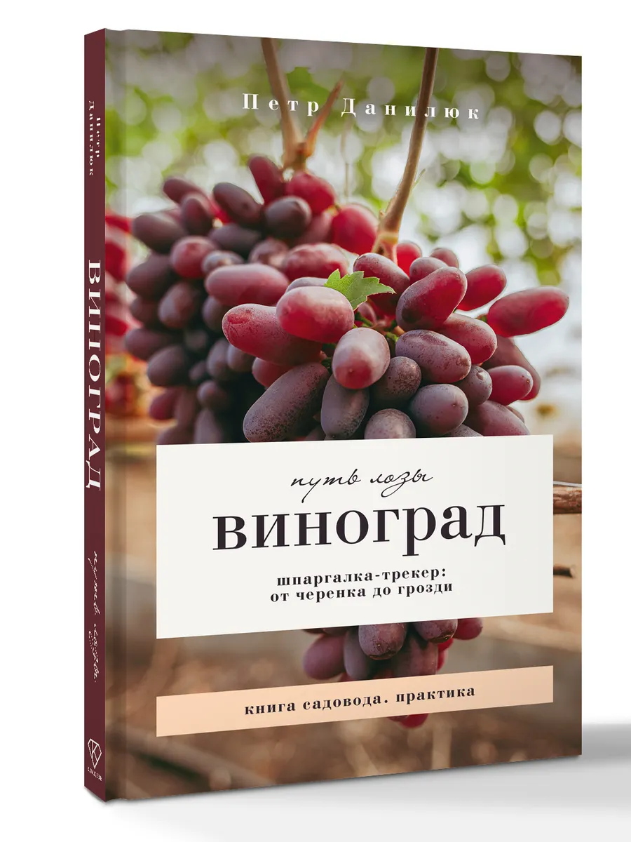 Виноград. Путь лозы. Шпаргалка-трекер от черенка до грозди
