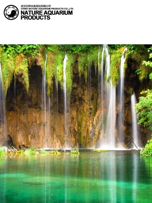 Nature Фон 2-стор Морской сад 50см 15м, 15 м, фото 3