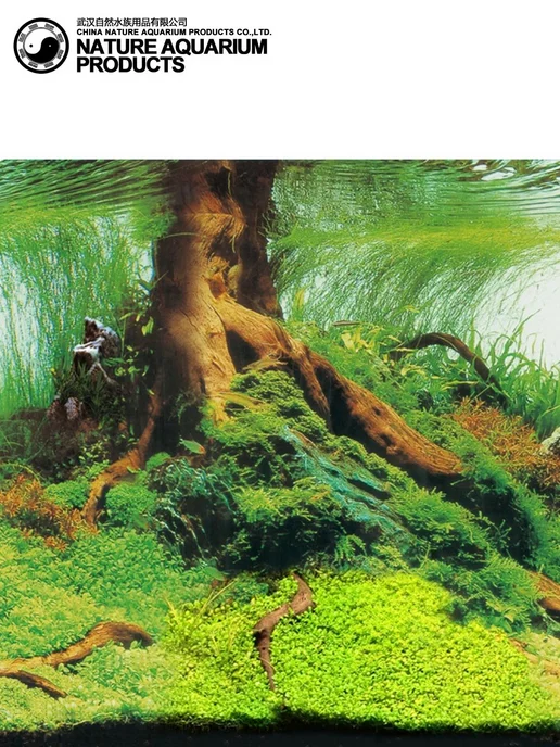 Nature Фон 2-стор Луговой пейзаж 50см 15м, 15 м, фото 2