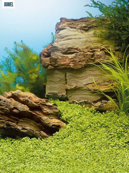 JUWEL Фон пленочный Подводный пейзаж+Скалы Постер XL 2-стор, вариант, фото 2