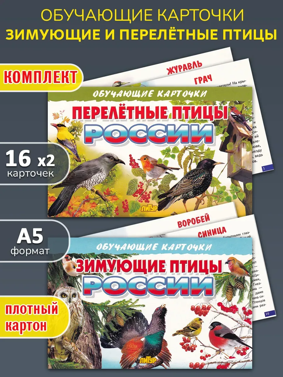 Обучающие карточки: Зимующие и перелётные птицы