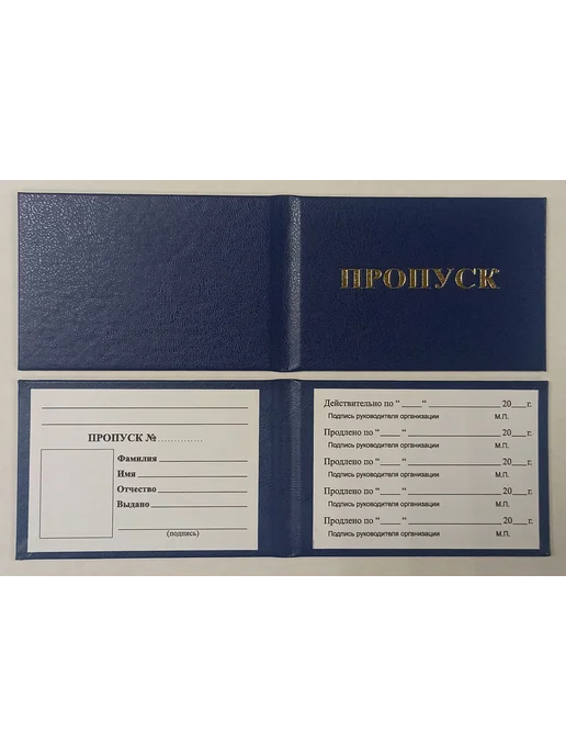 Типография СПб-бланк Пропуск бланк (10шт.), синий, 95х65 мм, 95x65 мм, 5 шт