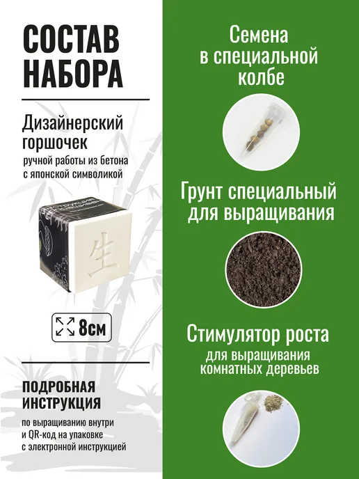 ЭкоКлуб Набор для выращивания бонсай "ЕЛЬ", вариант, фото 2