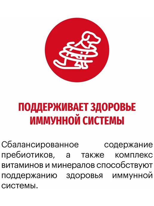 Сухой корм KARMY для собак, взрослые, средние, телятина, 14 кг, фото 2