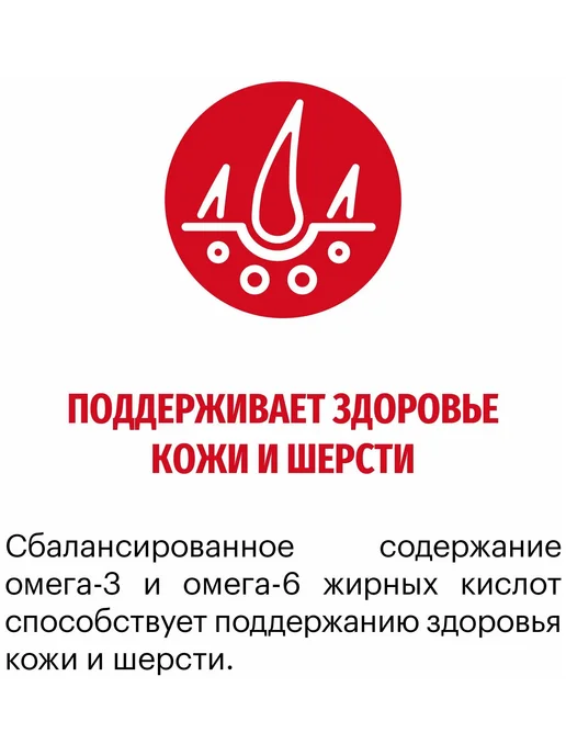 Сухой корм KARMY для собак, взрослые, средние, телятина, 14 кг, фото 4